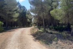 210503-villamalea-1
