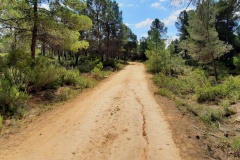 210503-villamalea-2