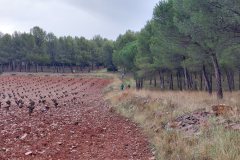 221208-San-Carlos-del-Valle-Trofeos-Zona-de-competicion-3