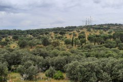 210509-Atalaya-8
