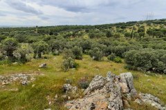 210509-Atalaya-9