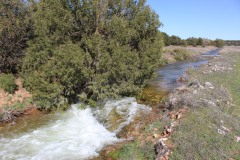 260410-zampollones-10