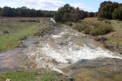 260410-zampollones-11