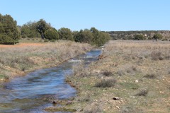 260410-zampollones-12