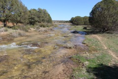 260410-zampollones-13