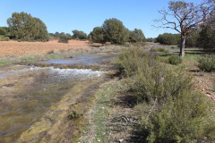 260410-zampollones-14