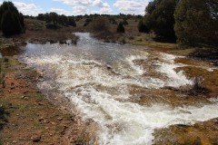 260410-zampollones-15