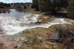 260410-zampollones-16