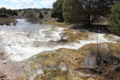 260410-zampollones-17