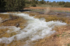 260410-zampollones-19