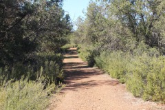 260410-zampollones-2