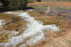 260410-zampollones-20