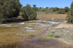 260410-zampollones-21