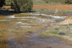 260410-zampollones-22