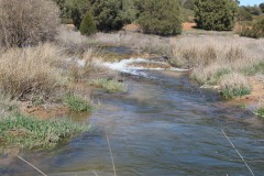 260410-zampollones-23