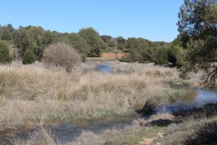 260410-zampollones-24