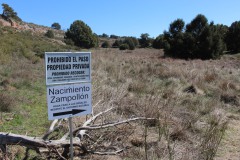 260410-zampollones-25