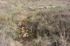 260410-zampollones-26