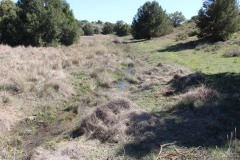 260410-zampollones-27