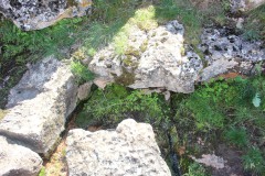 260410-zampollones-28