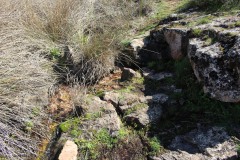 260410-zampollones-29