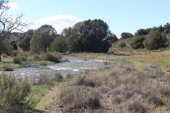 260410-zampollones-3