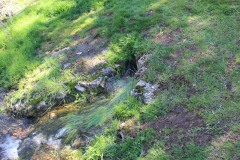 260410-zampollones-31