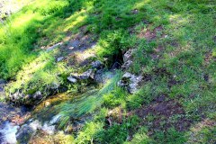 260410-zampollones-32