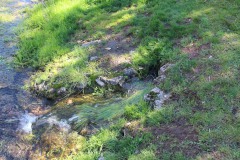 260410-zampollones-33