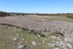 260410-zampollones-34