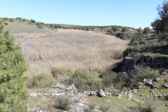 260410-zampollones-35