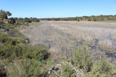 260410-zampollones-36