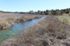 260410-zampollones-37