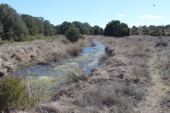 260410-zampollones-38