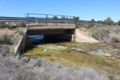 260410-zampollones-39