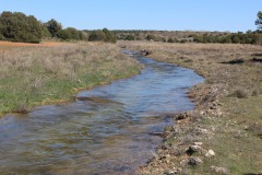 260410-zampollones-4