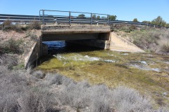 260410-zampollones-40