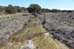 260410-zampollones-41