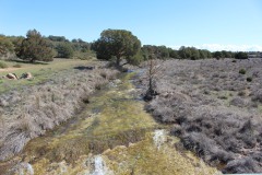 260410-zampollones-42