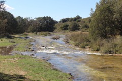 260410-zampollones-5