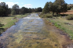 260410-zampollones-6