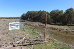 260410-zampollones-7