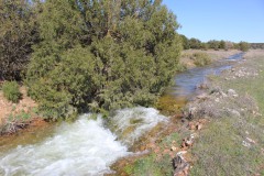 260410-zampollones-9