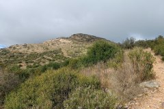 Sendero de subida