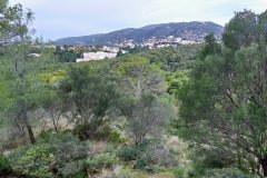 221213-Castell-de-Bellver-5