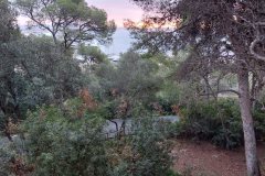 221213-Castell-de-Bellver-6