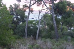 221213-Castell-de-Bellver-9
