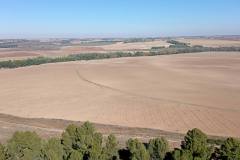 IMG_20211114_115233