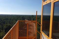 IMG_20211114_115312