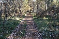 IMG_20211114_121216